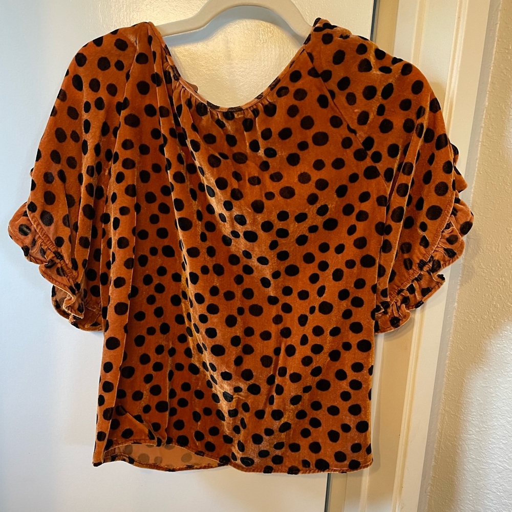 Polka Dot Women's Top - Brown and Black